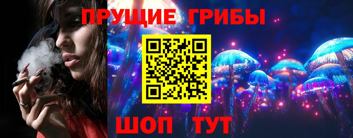 Галлюциногенные грибы GOLDEN TEACHER  закладка  Ливны  Вход с VPN 