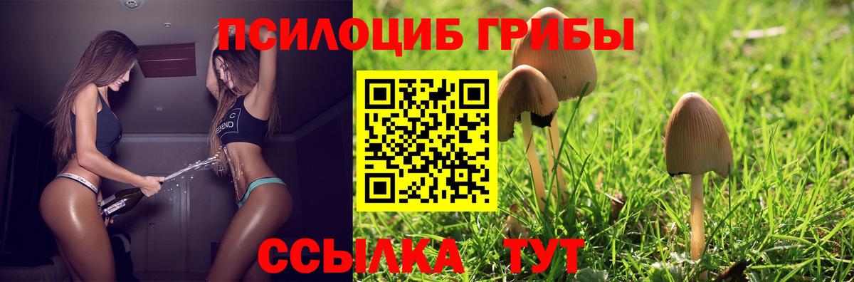 Псилоцибиновые грибы Cubensis Ливны