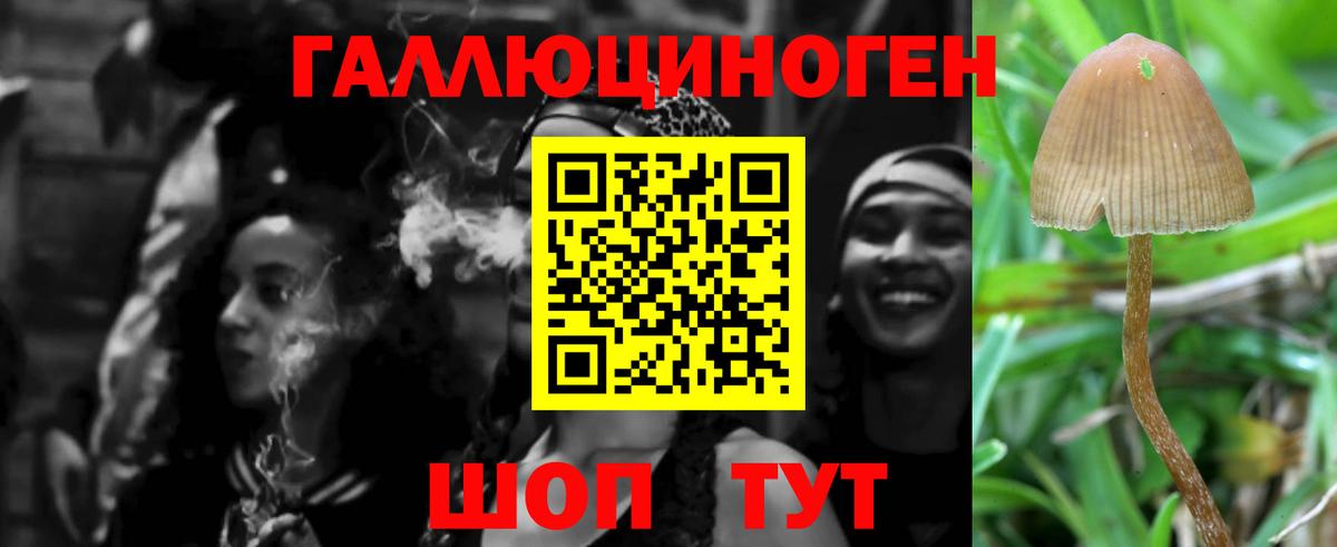 Ливны  Вход с VPN  Канабис  Меф МЯУ МЯУ кристаллы  ГАШ  Гашиш 